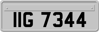 IIG7344