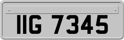 IIG7345