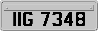 IIG7348