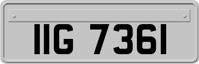 IIG7361