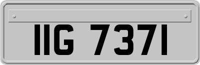 IIG7371