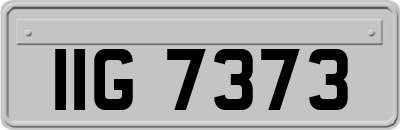 IIG7373