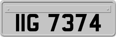 IIG7374