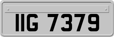 IIG7379