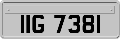 IIG7381