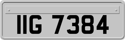 IIG7384