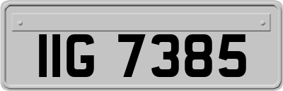 IIG7385