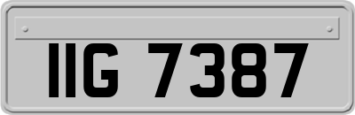 IIG7387