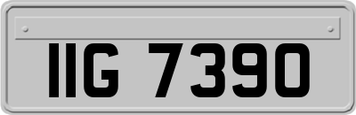 IIG7390