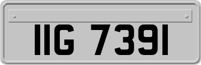 IIG7391