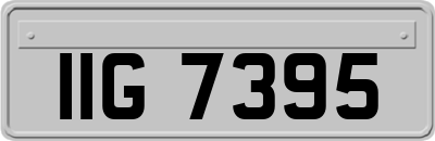 IIG7395