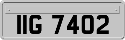 IIG7402