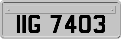 IIG7403