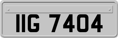 IIG7404
