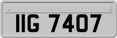IIG7407