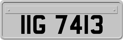 IIG7413