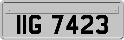 IIG7423