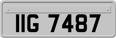 IIG7487