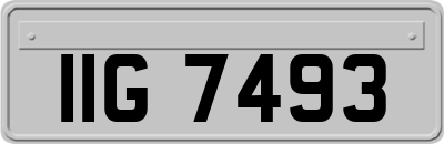 IIG7493