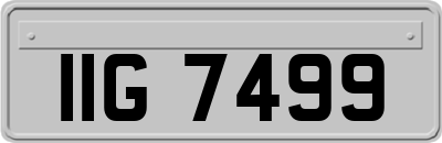 IIG7499