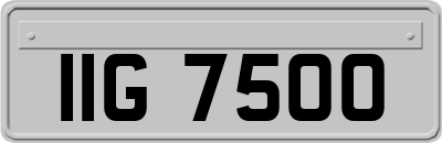 IIG7500