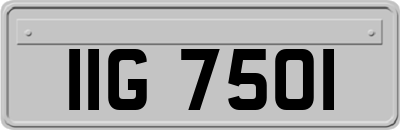IIG7501