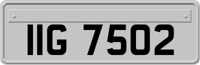 IIG7502