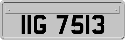 IIG7513