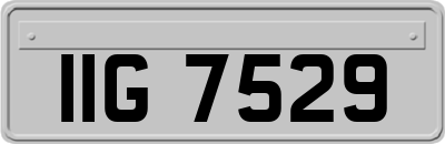 IIG7529