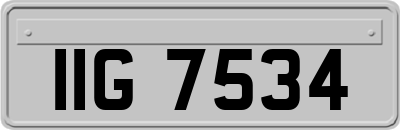 IIG7534