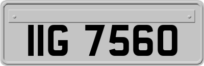 IIG7560