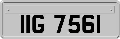 IIG7561
