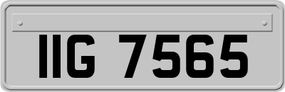 IIG7565