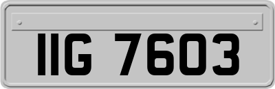 IIG7603