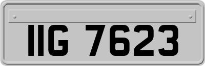 IIG7623