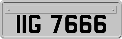 IIG7666