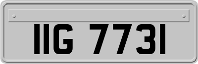 IIG7731