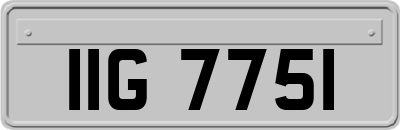 IIG7751
