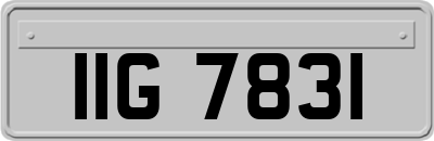 IIG7831