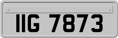 IIG7873