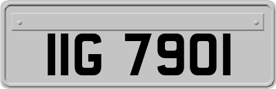IIG7901