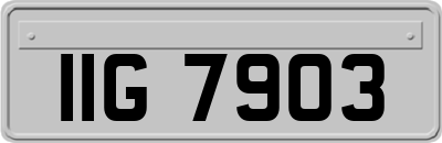 IIG7903
