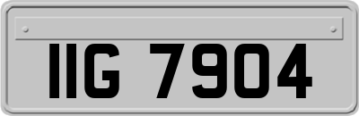 IIG7904