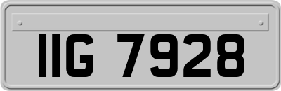 IIG7928