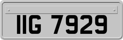 IIG7929