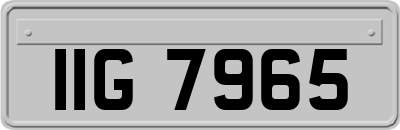 IIG7965