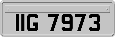 IIG7973