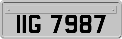 IIG7987