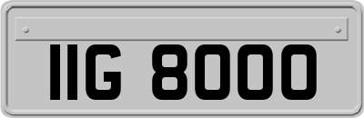 IIG8000