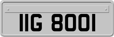 IIG8001